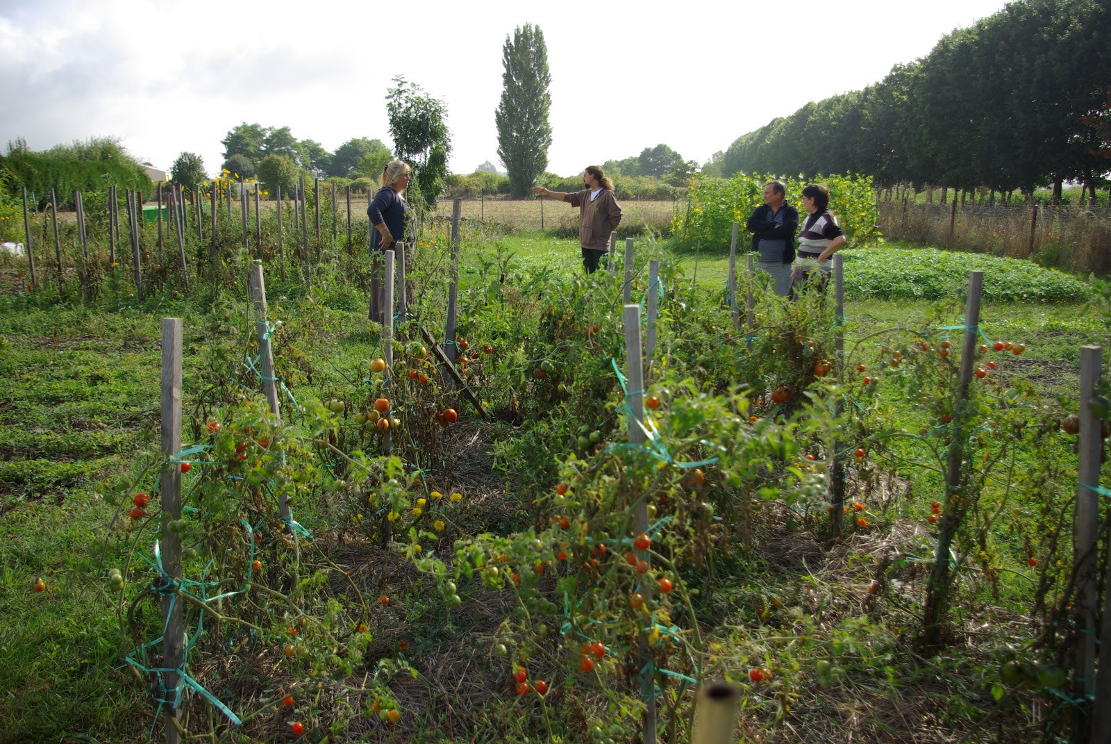 Comment créer un jardin partagé ?